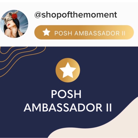☻︎☻︎ Meet the Stylist ☻︎☻︎ Listing #2 ☻︎☻︎ Posh Ambassador Gold Level II ☻☻ - Picture 2 of 3
